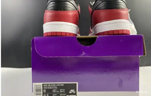 BQ6817-600 Chicago Nike SB Low J-Pack Dunk 0605